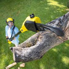  , USA Tree Removal Services Pros